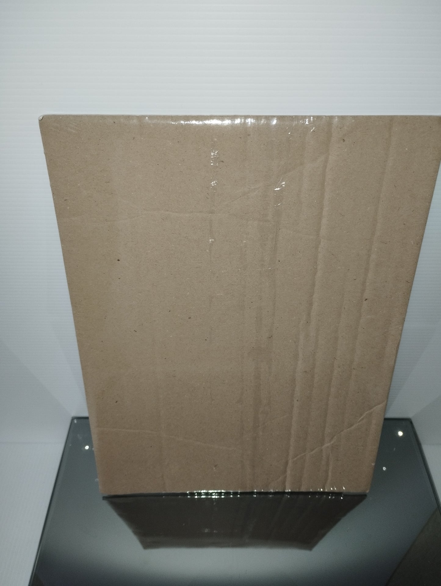 Capitano del Gruppo Squadroni Corazzati San Giusto  Stampa Originale Fine Anni 70