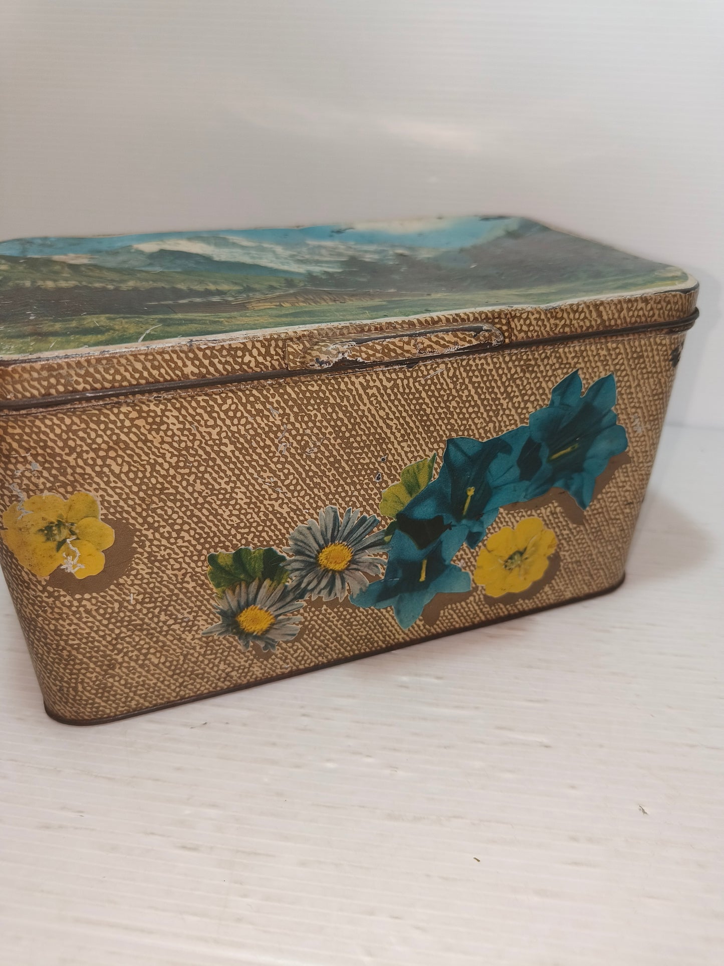 Scatola antica in latta Bertolini, LEGGI