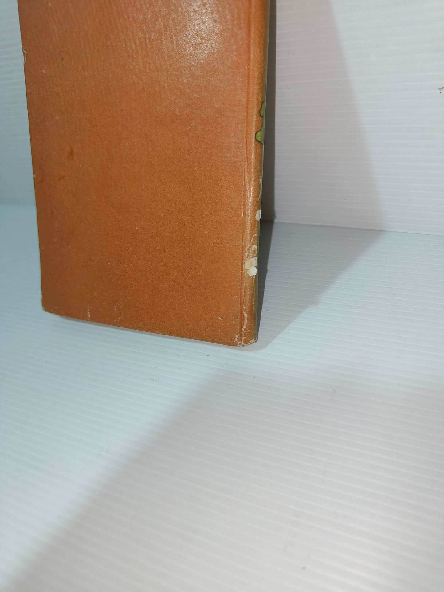 Libro Ada e Jole, 1949 LEGGI