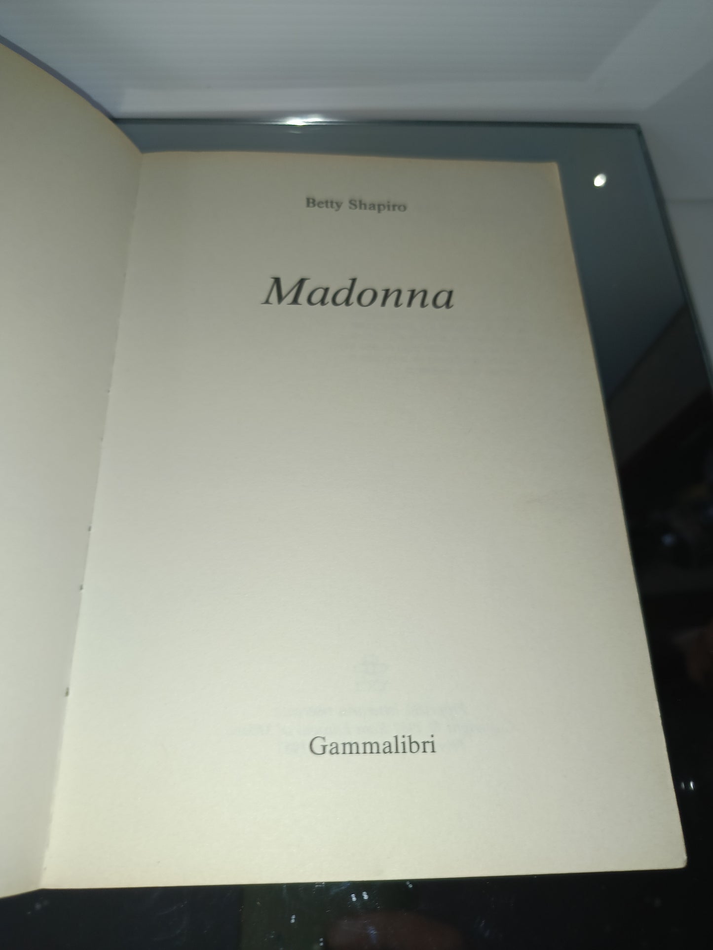 Madonna Betty Shapiro
Edito nel 1987 da Gammalibri
Prima Edizione