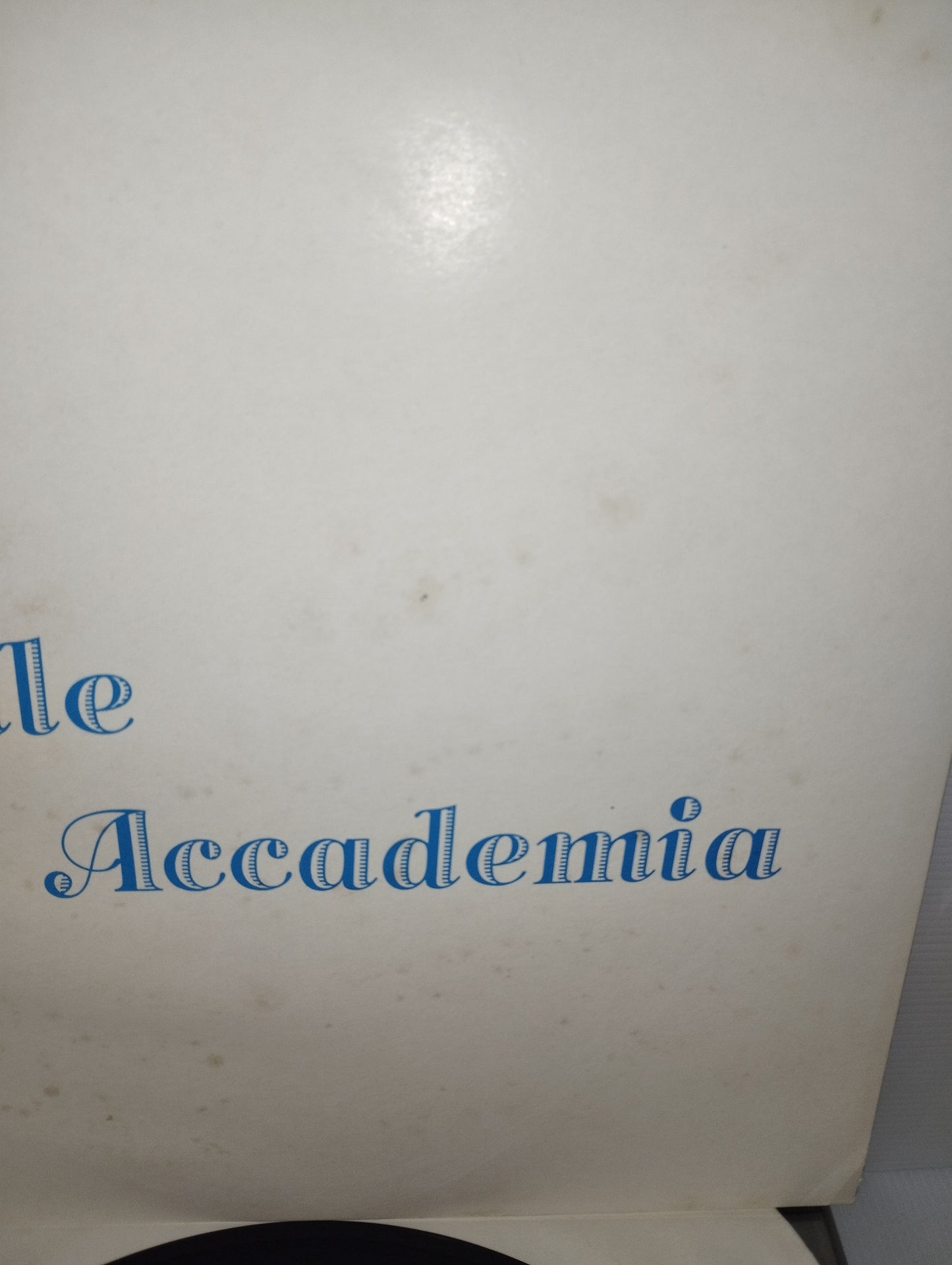 Reale Accademia Omonimo LP 33 Giri Edito nel 1987 da Baracca Recording Cod.BR/002
Genere:Electronic,Pop
Stile :Italo Disco
Molto raro