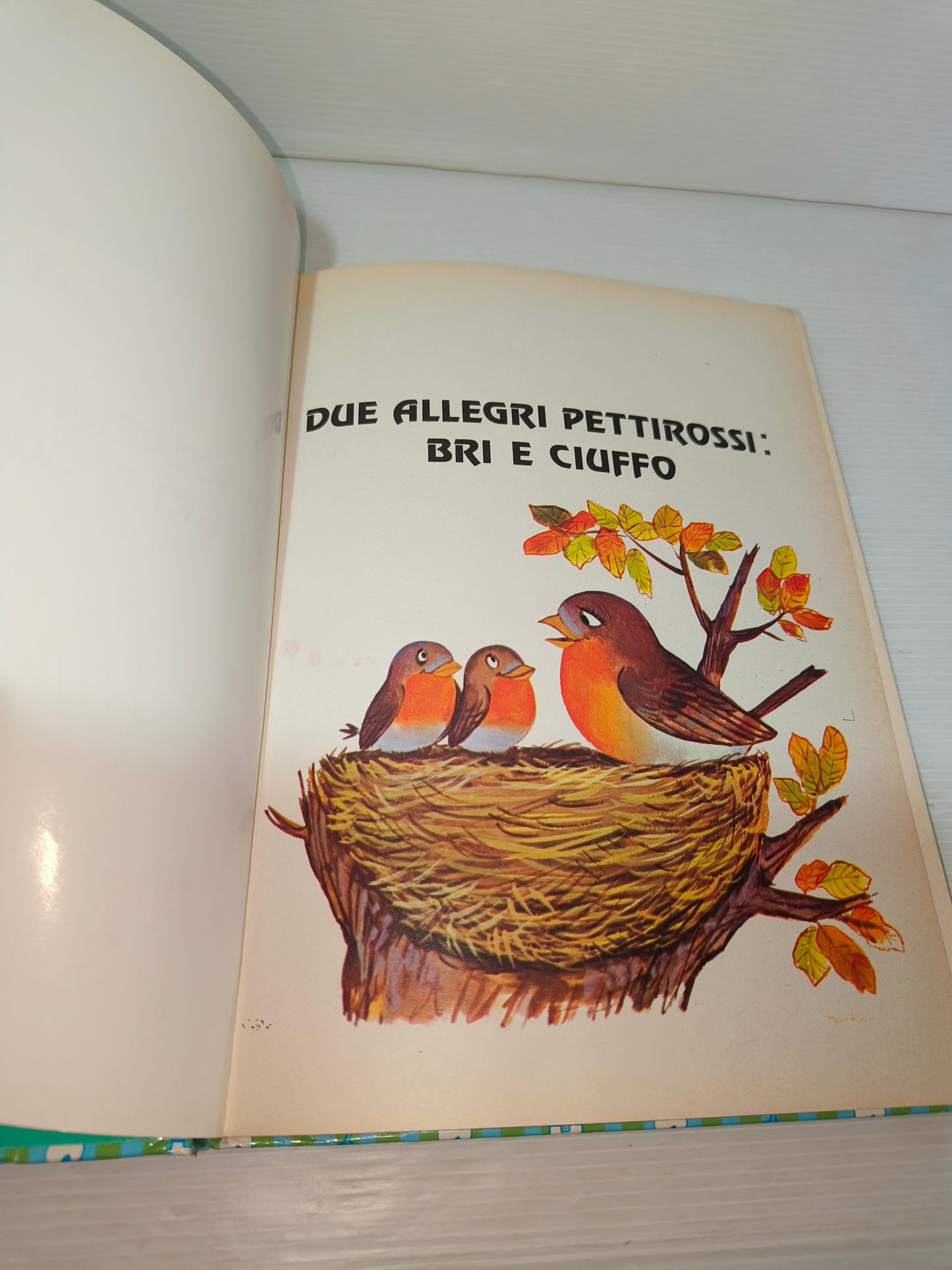 Libro Le Scoperte Di Bri E Ciuffo, 1983 LEGGI