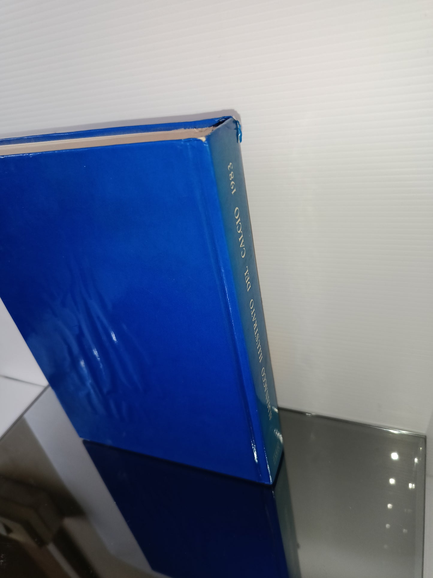 Panini Almanacco Illustrato Del Calcio 1983