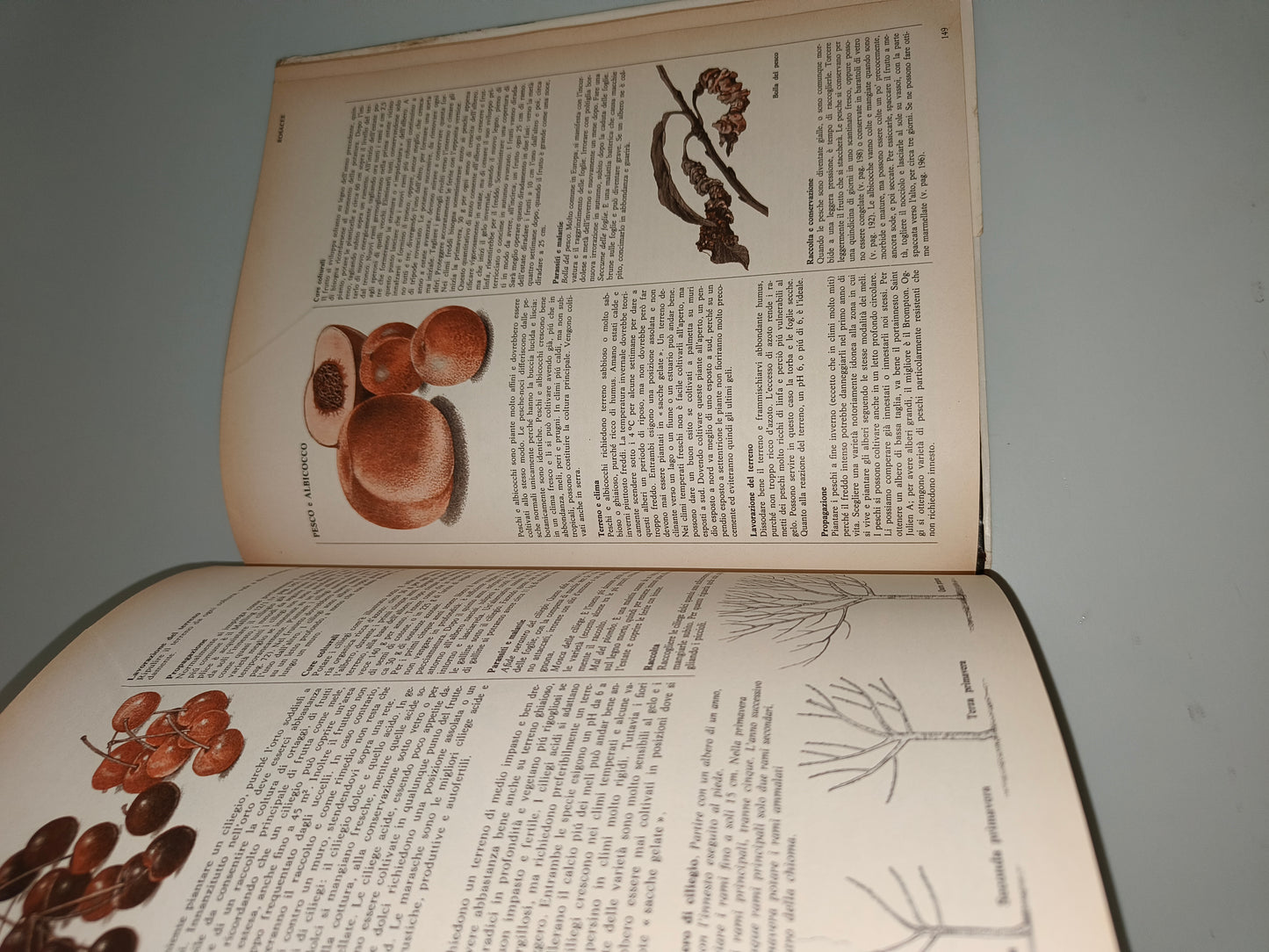 Libro Per Una Vita Migliore Ovvero Il Libro Dell' Orto Frutteto, anni 70 LEGGI