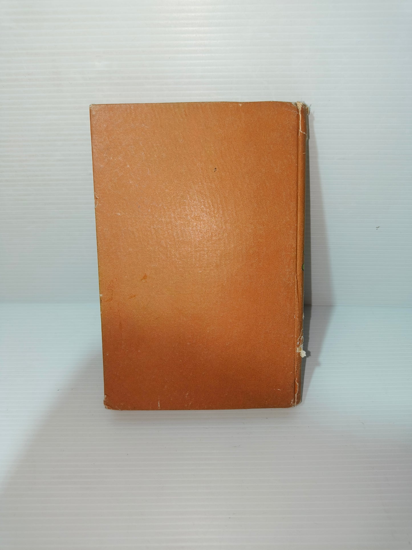 Libro Ada e Jole, 1949 LEGGI