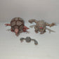Pokemon Geodude, Graveler e Golem in PVC