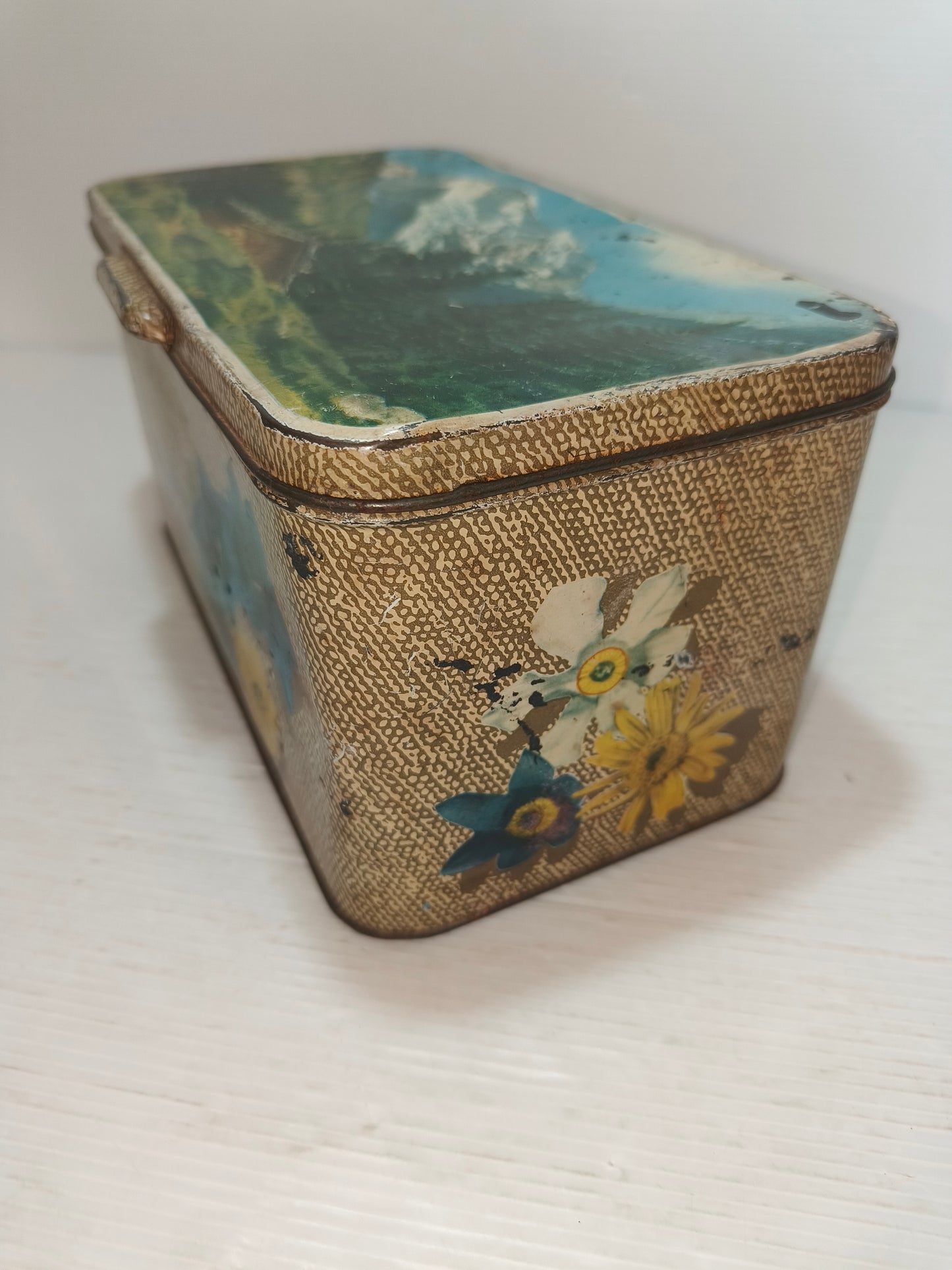 Scatola antica in latta Bertolini, LEGGI