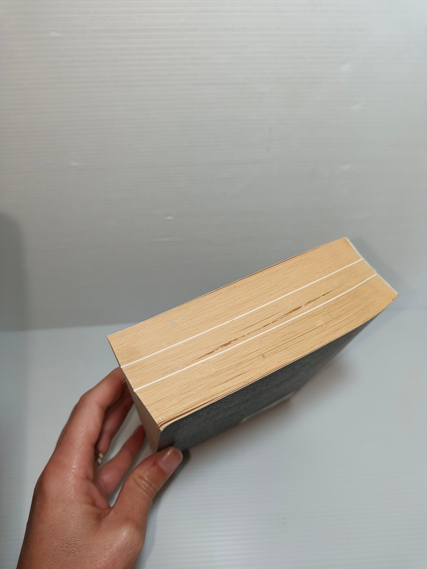 Biografia Nureyev in inglese, LEGGI