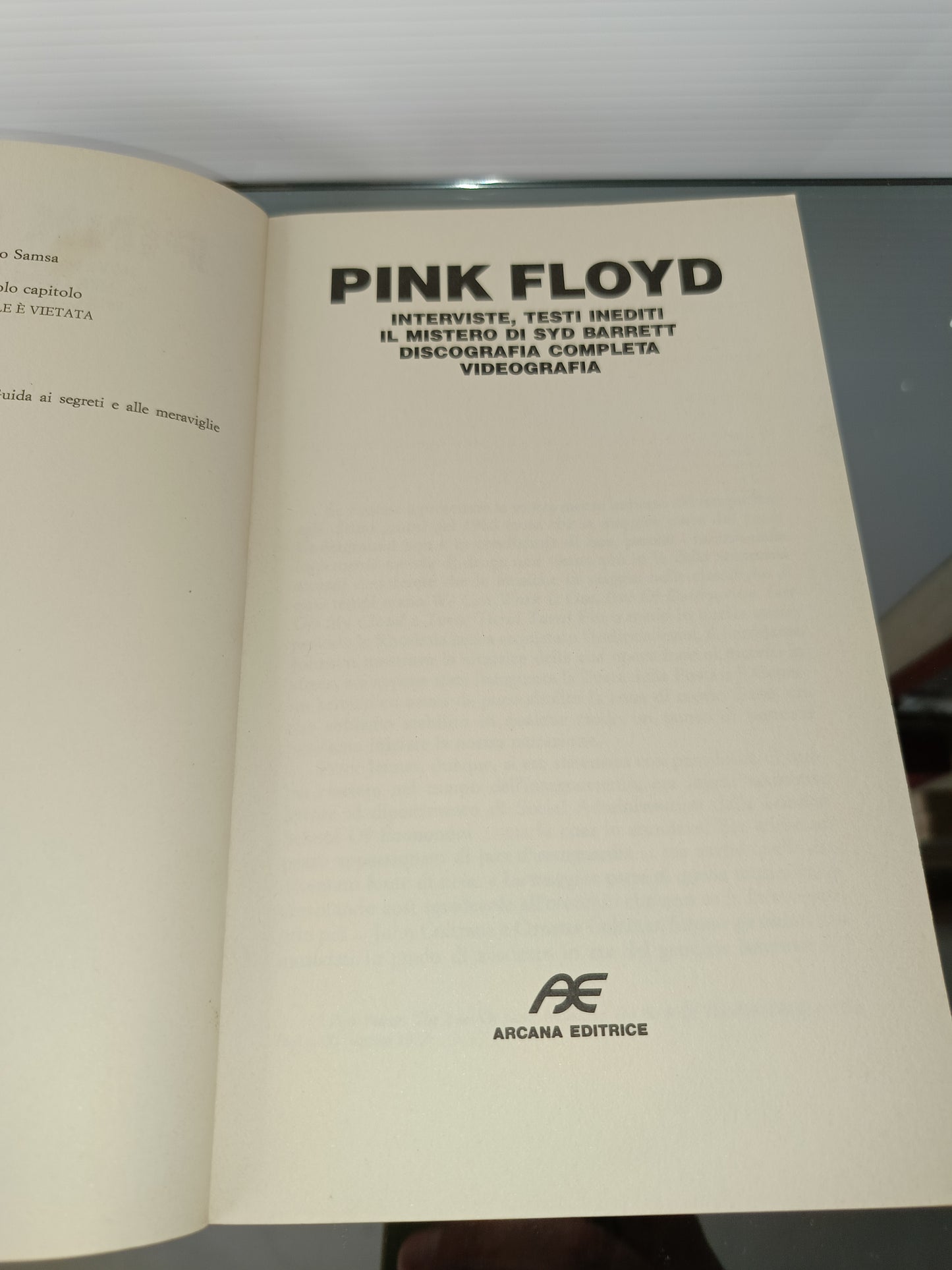 Pink Floyd Manuali Rock
Edito nel 1985 da Arcana Editrice