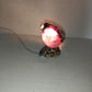 Lampada Di Conchiglia Vintage