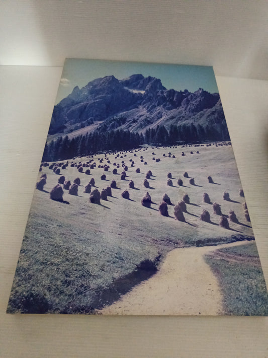Stampa Fotografica Val Pusteria

Su Pannello in legno