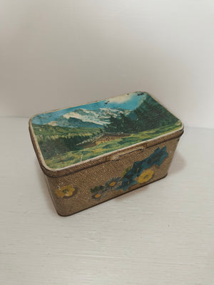 Descriptive image text