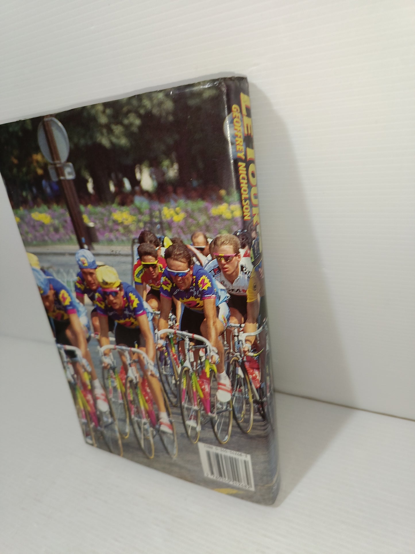 Le Tour Geoffrey Nicholson
Edito nel 1991 daHodder & Stoughton