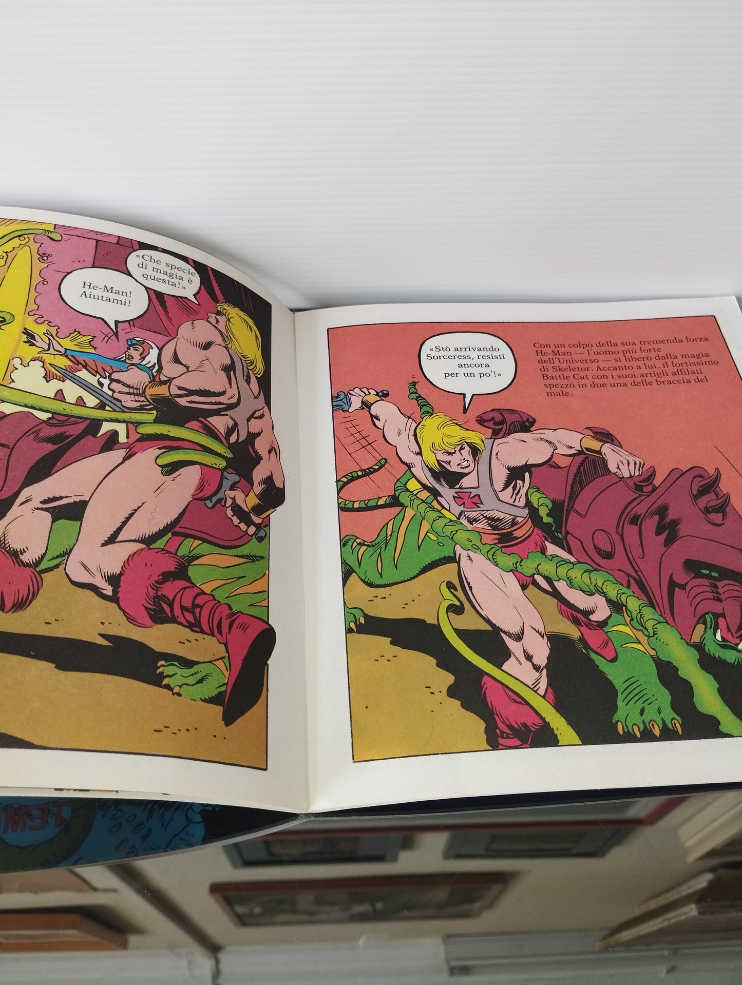 Masters I Dominatori Dell'Universo Super Color N.2
Edito nel 1984 da Editrice Edigamma