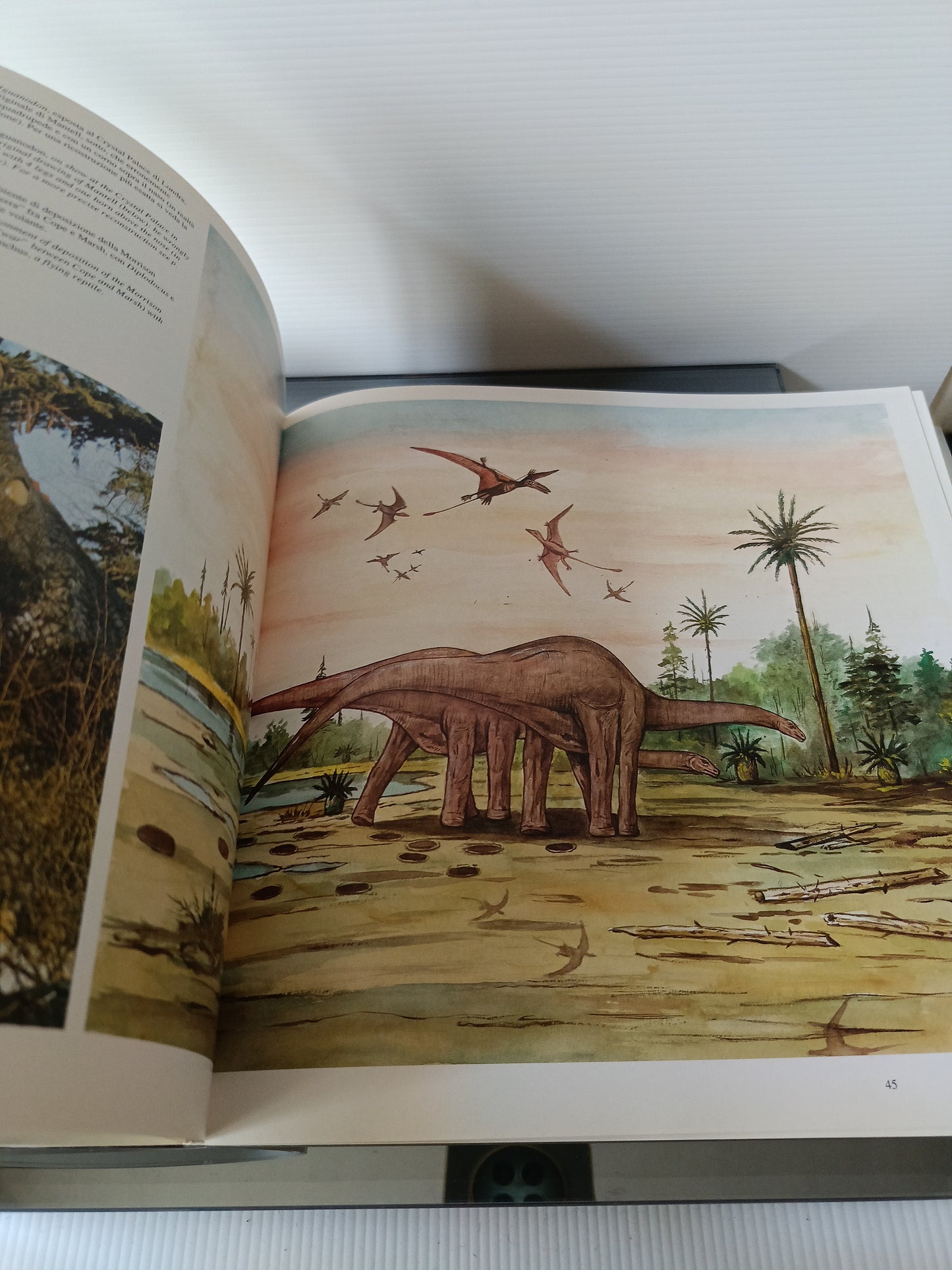 Dinosaurs Il Mondo Dei Dinosauri Cina Italia 1992