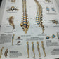 Spinal Column Anatomy and Pathology Stampa Su Tela misure 50 X 70 circa