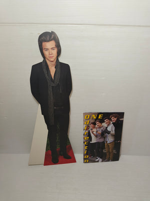 One Direction sagoma in cartoncino Harry Styles + libretto 2013