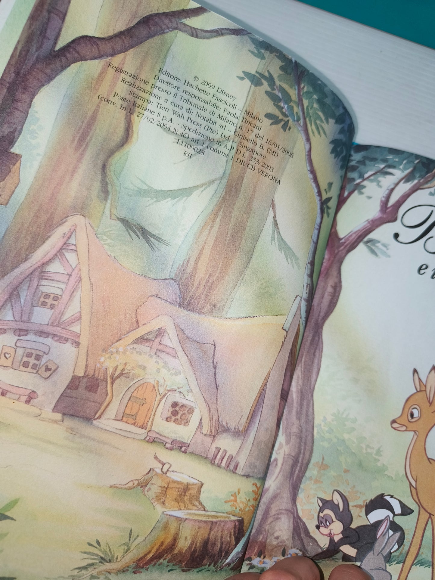 Lotto Libri Hacette favole Walt Disney