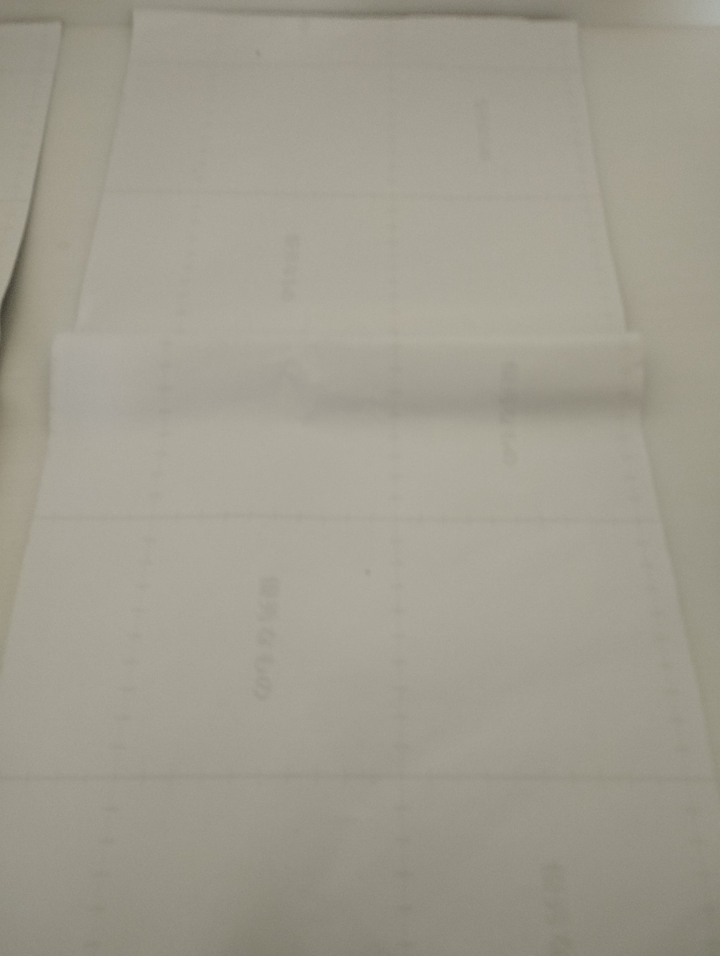 2 Grandi Adesivi Fiat