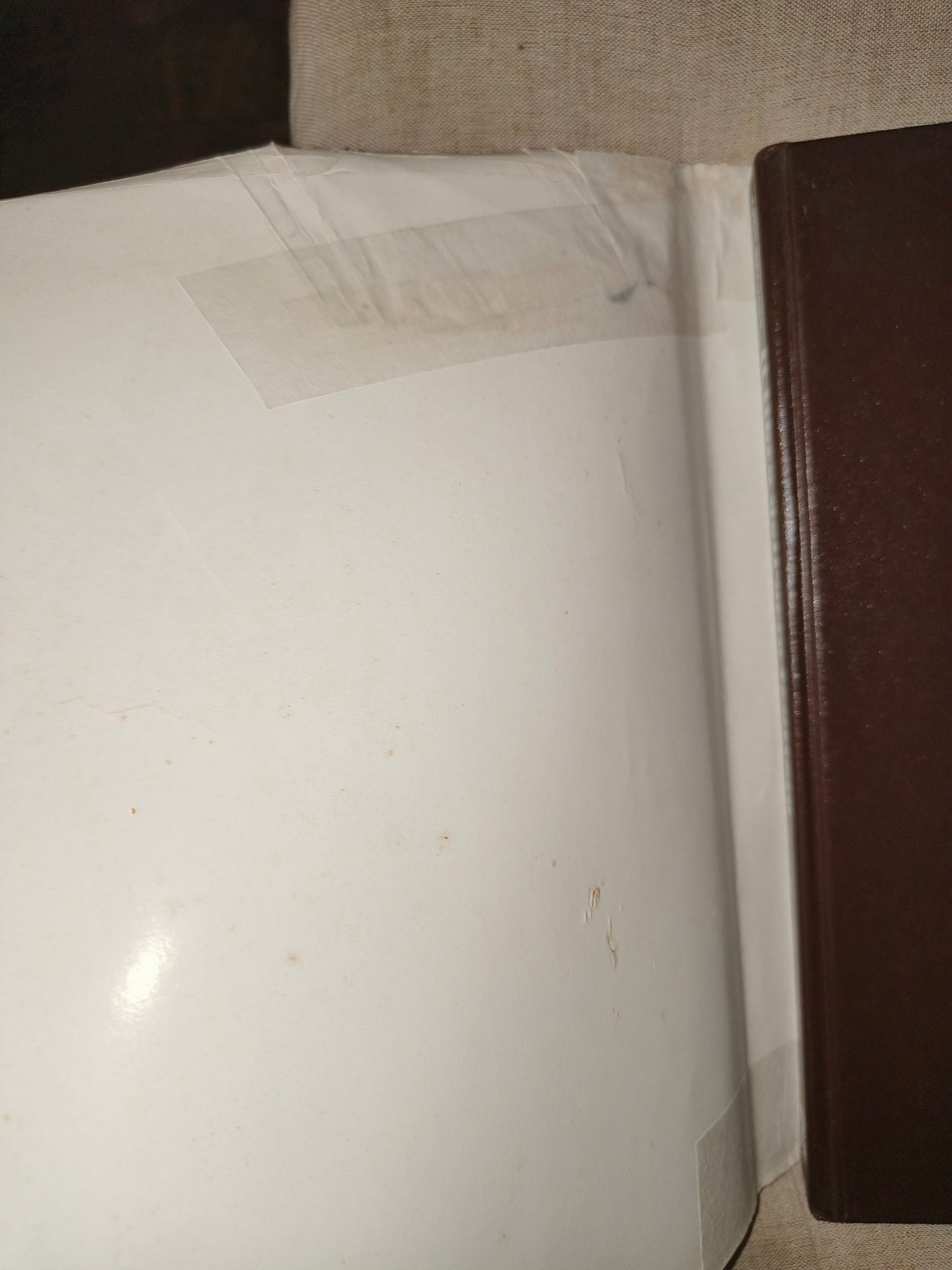 Libro Per Una Vita Migliore Ovvero Il Libro Dell' Orto Frutteto, anni 70 LEGGI