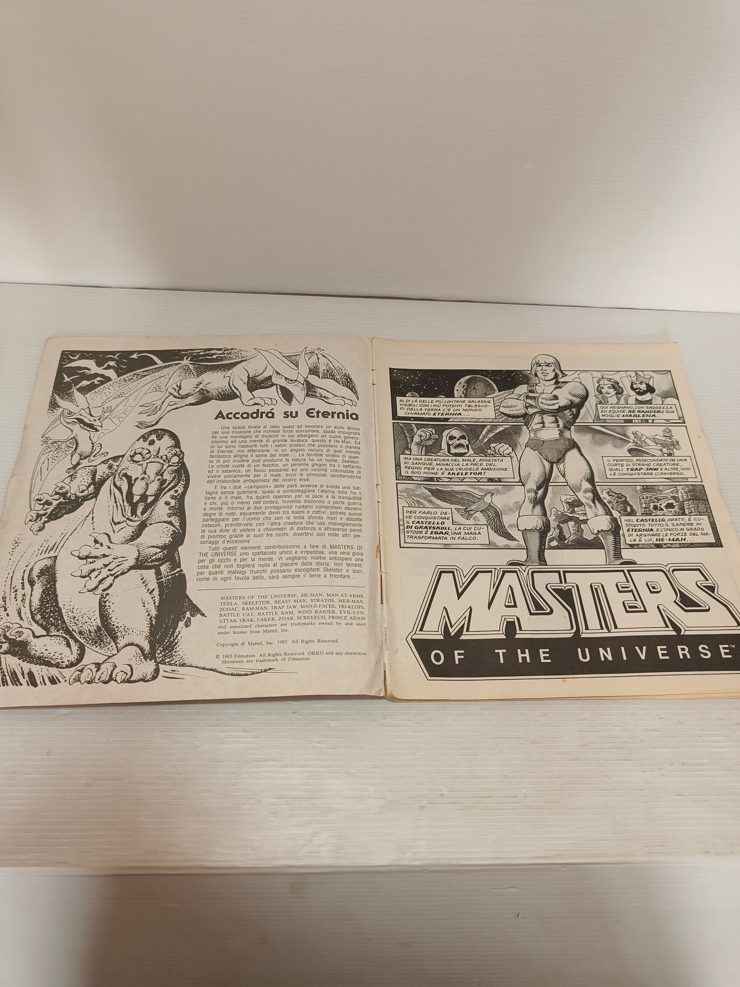 Album Figurine Master Of The Universe, 1983 LEGGI