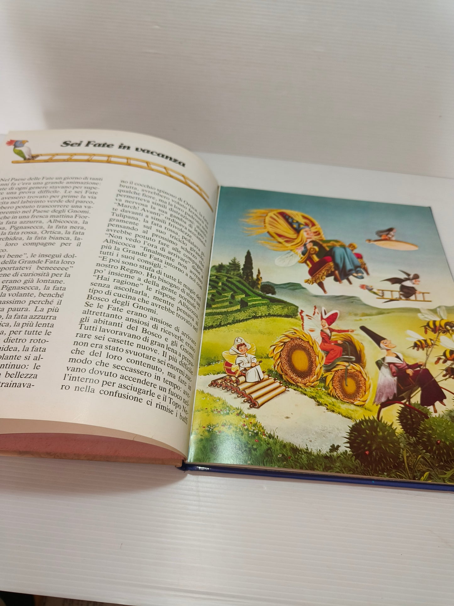 Libro Storie Del Bosco Di Gnomi Di Giganti E Di Fate vol.4, anni 80
