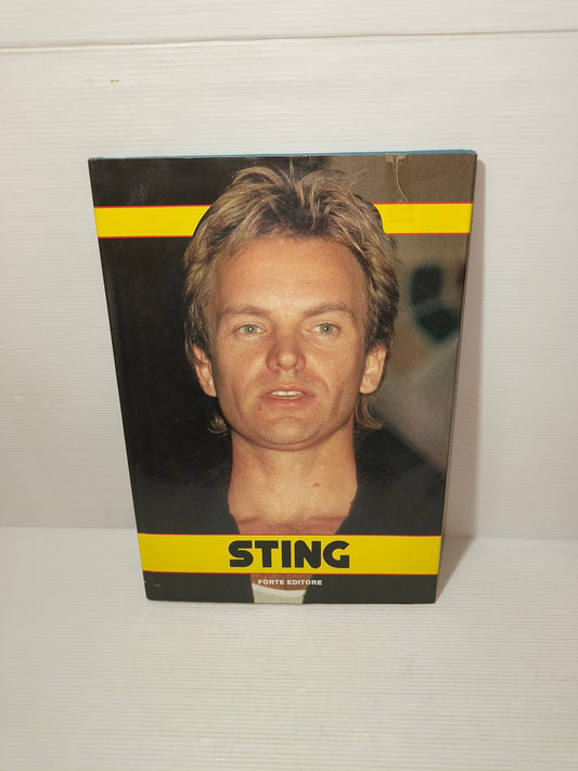 Libro su Sting Anni 80