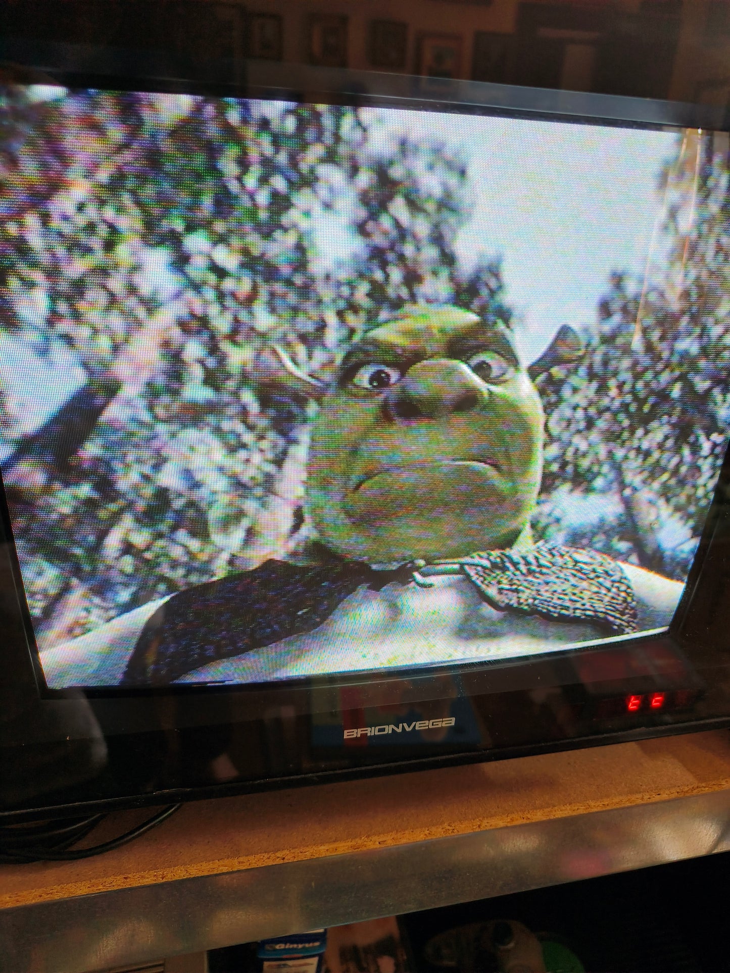 VHS e scatola porta merenda Shrek Mulino Bianco, LEGGI