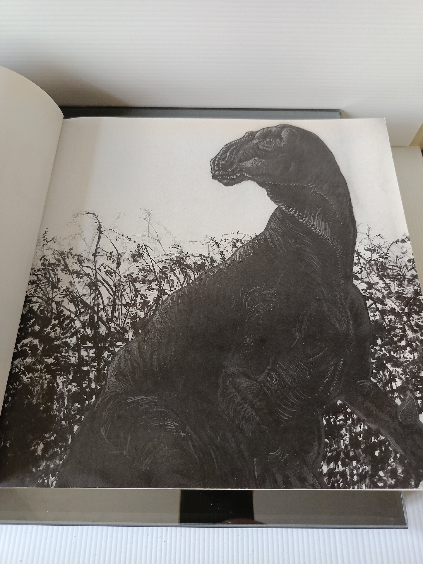 Dinosaurs Il Mondo Dei Dinosauri Cina Italia 1992