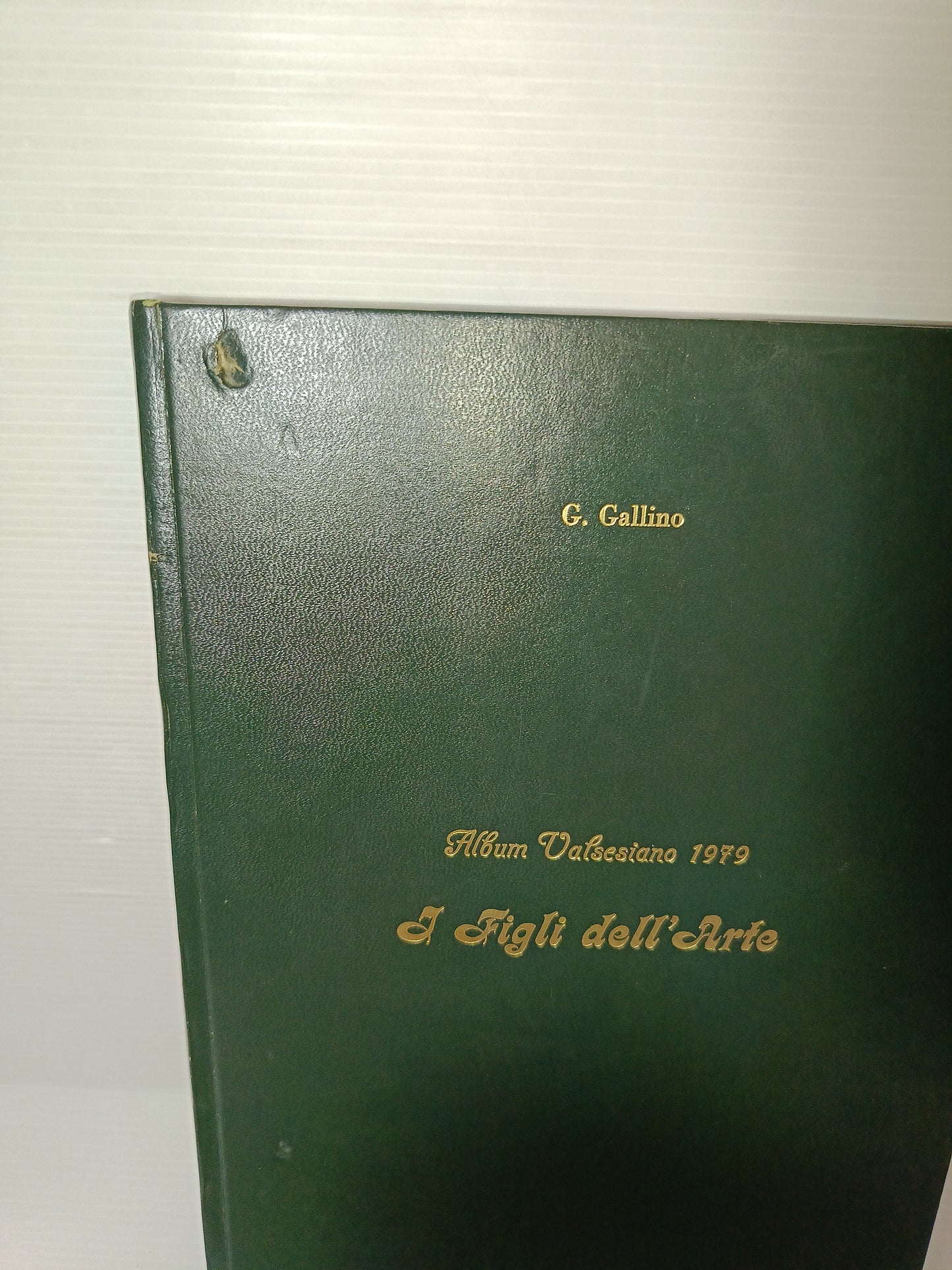 I Figli Dell'Arte Album Valsesiano 1979

Stampato nel 1980 da Edizioni Corradini