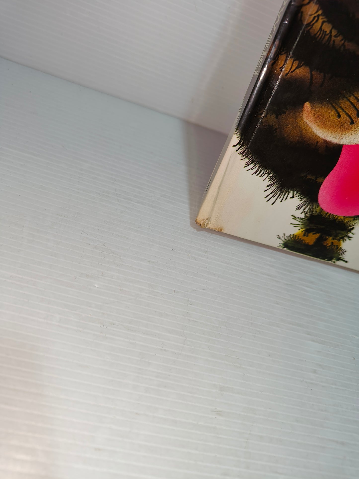 Libro Mi Hanno Detto Che...Jan Pienkowski 1983 LEGGI