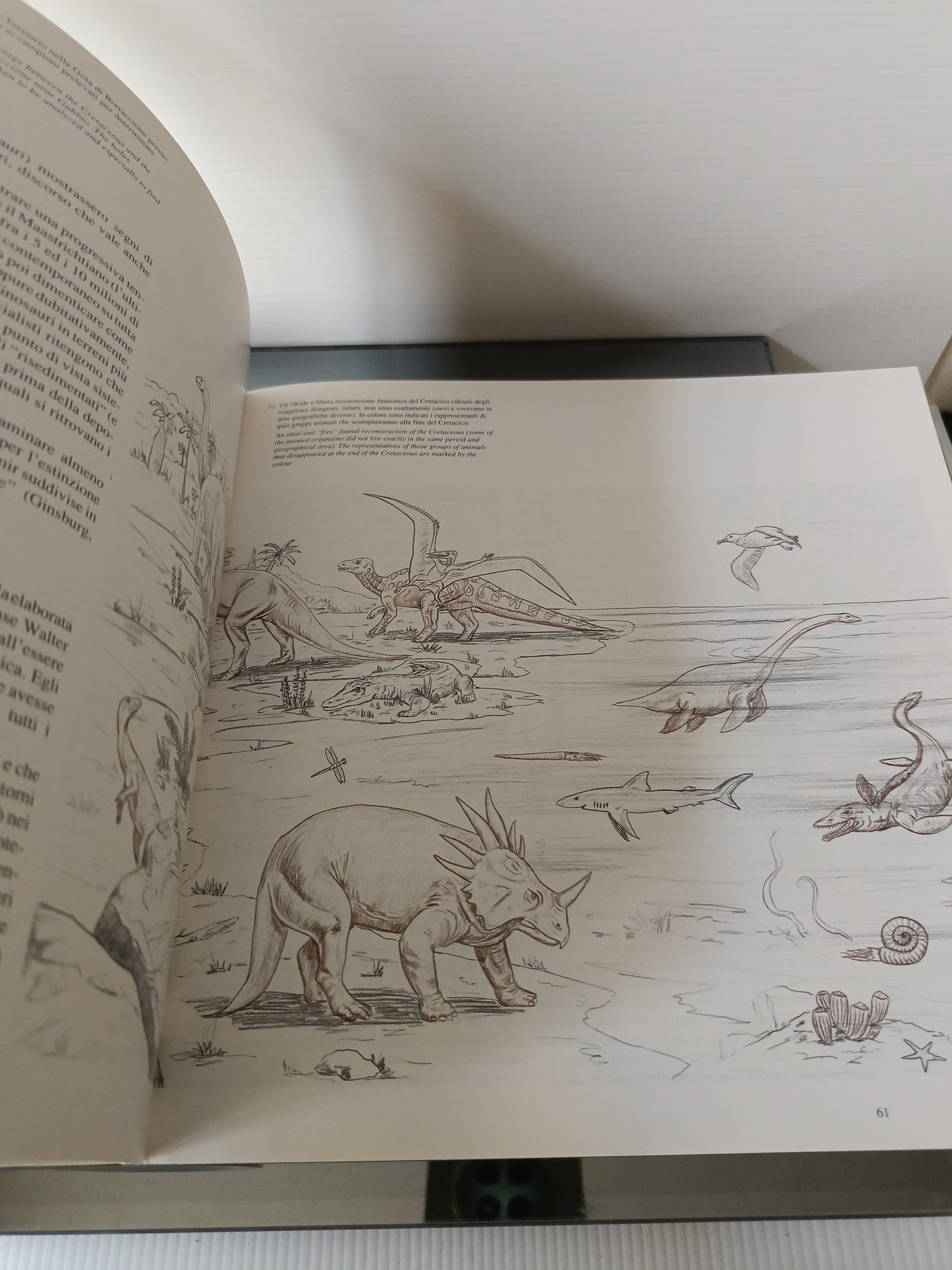 Dinosaurs Il Mondo Dei Dinosauri Cina Italia 1992