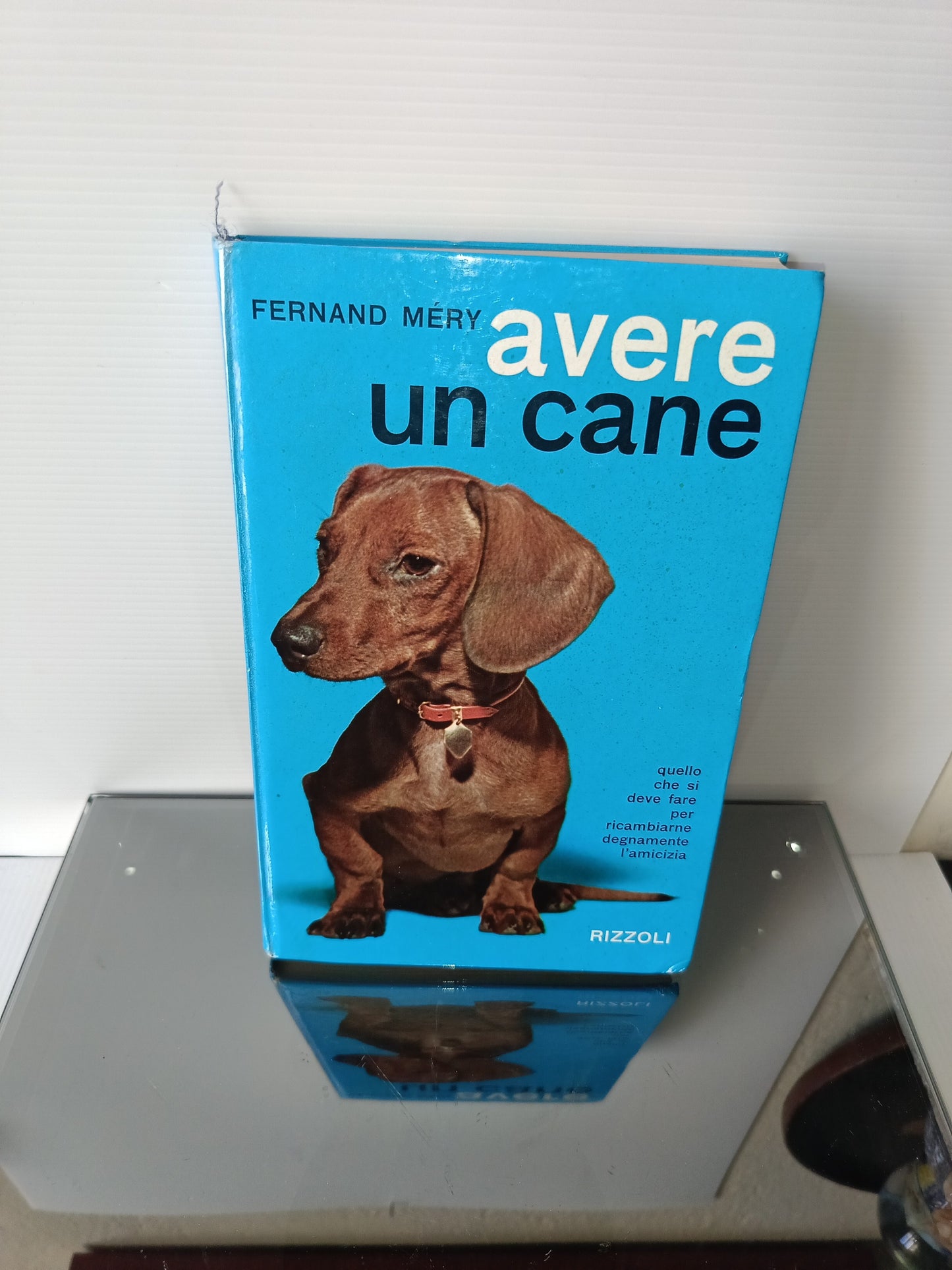 Avere Un Cane Fernand Méry
Edito nel 1962 da  Rizzoli