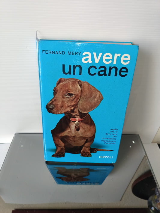 Avere Un Cane Fernand Méry
Edito nel 1962 da  Rizzoli