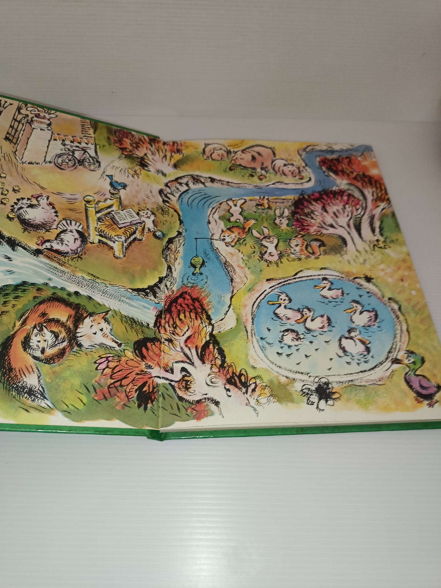 Le Avventure Di Calimero Pulcino Nero Nino e Toni Pagot vol.primo