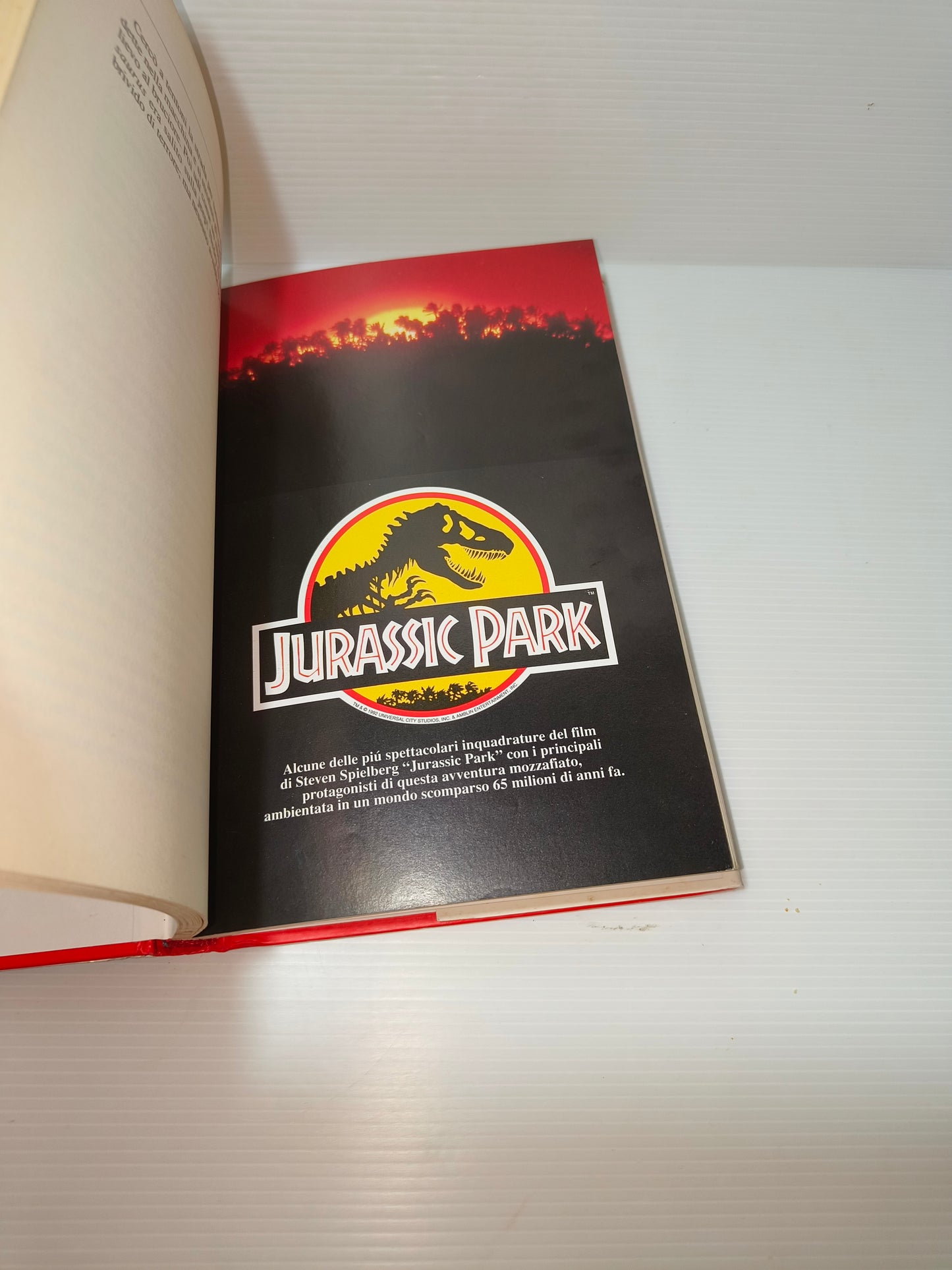 Libro Jurassic Park, Mondadori Ragazzi 1993 LEGGI