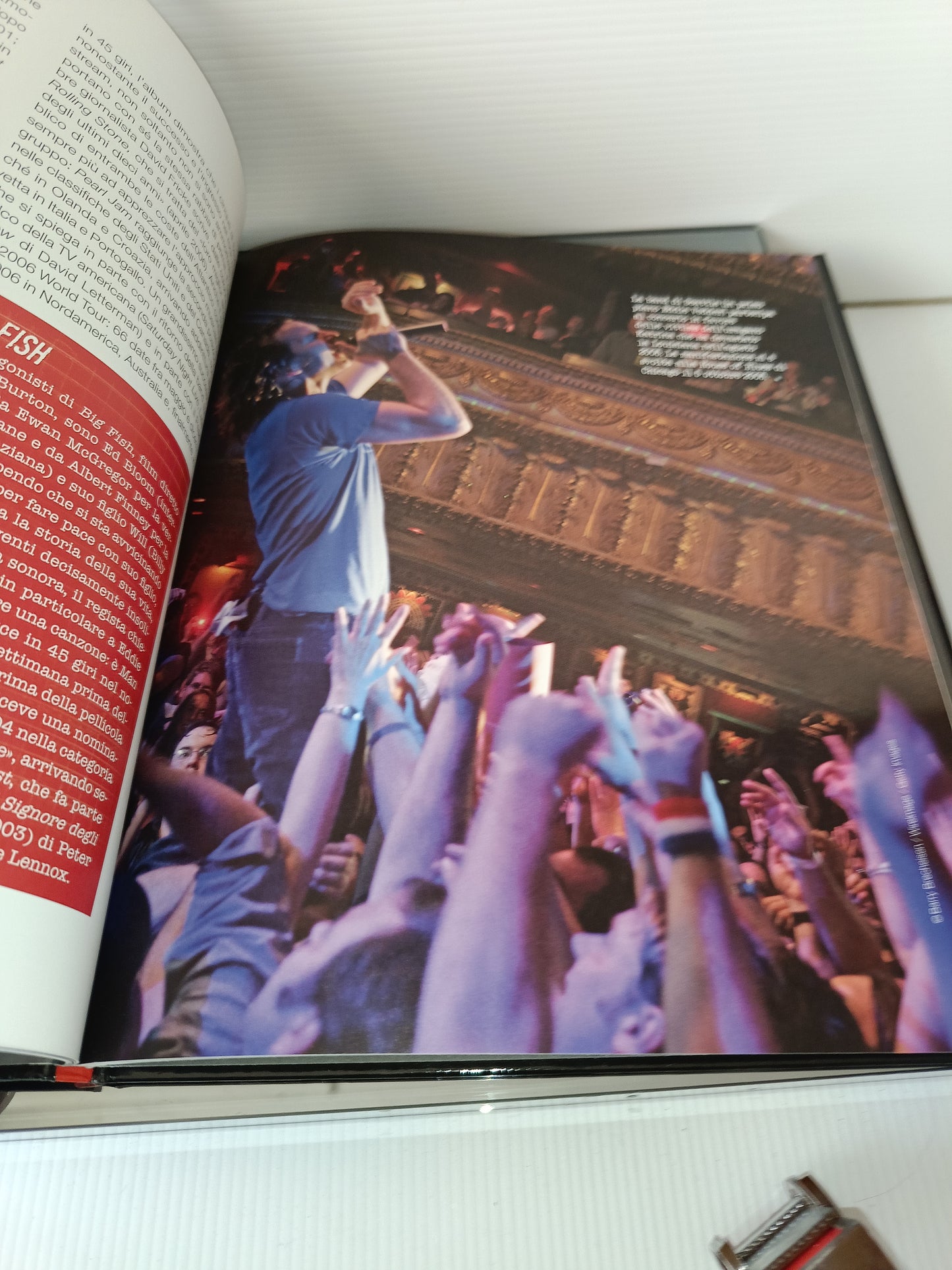 Pearl Jam Libro Serie Planet Metal
Hachette n.34