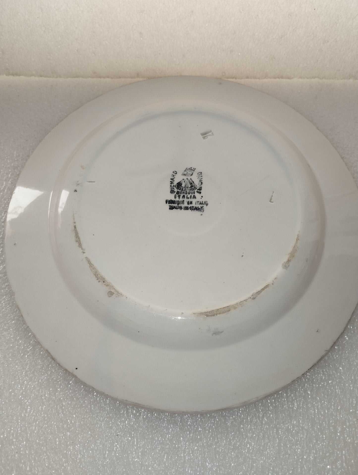 Piatto Richard Ginori Mondovì
In Ceramica Vintage
Dipinto a mano