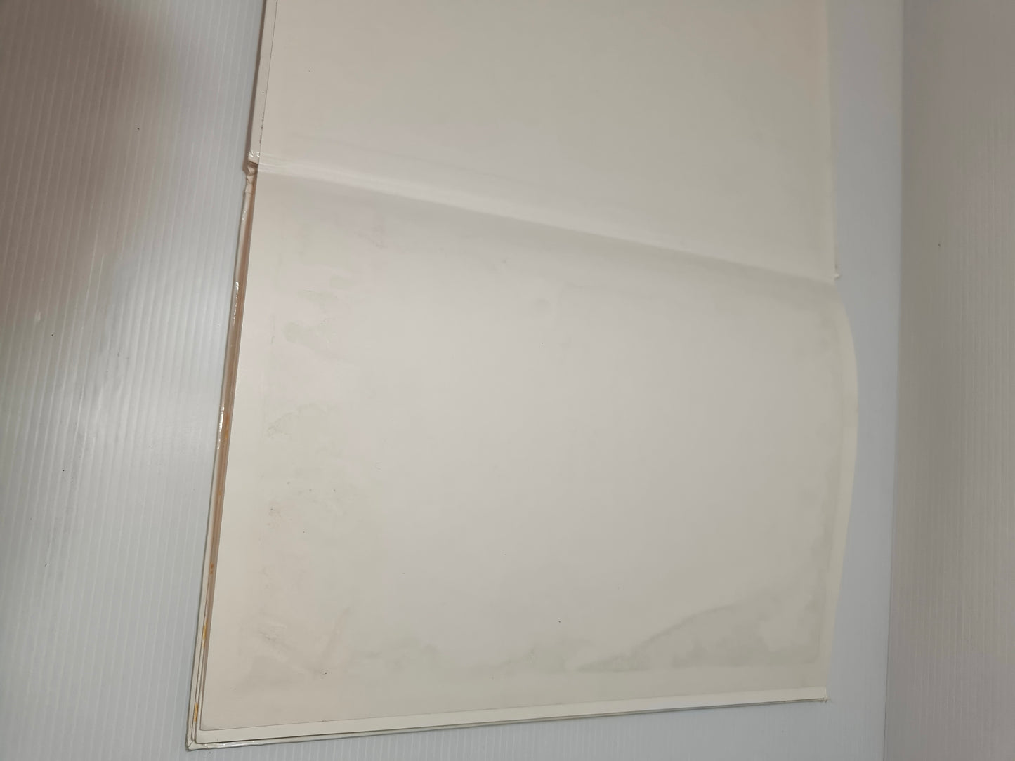 Libro L'uccellino fotoreporter, anni 80 LEGGI