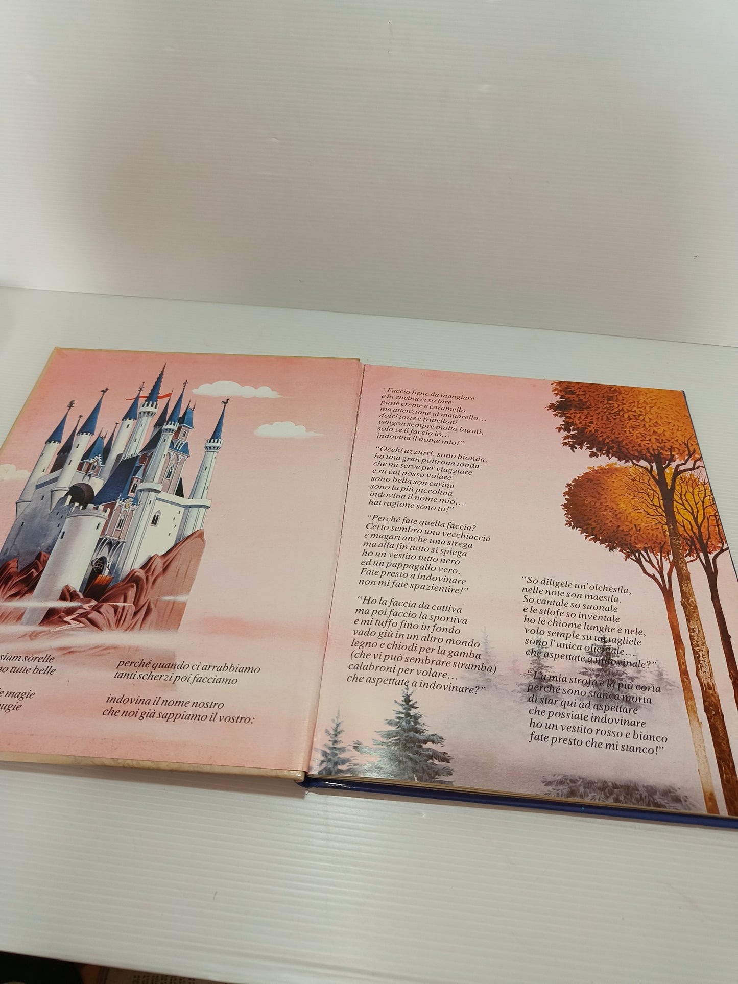 Libro Storie Del Bosco Di Gnomi Di Giganti E Di Fate vol.4, anni 80