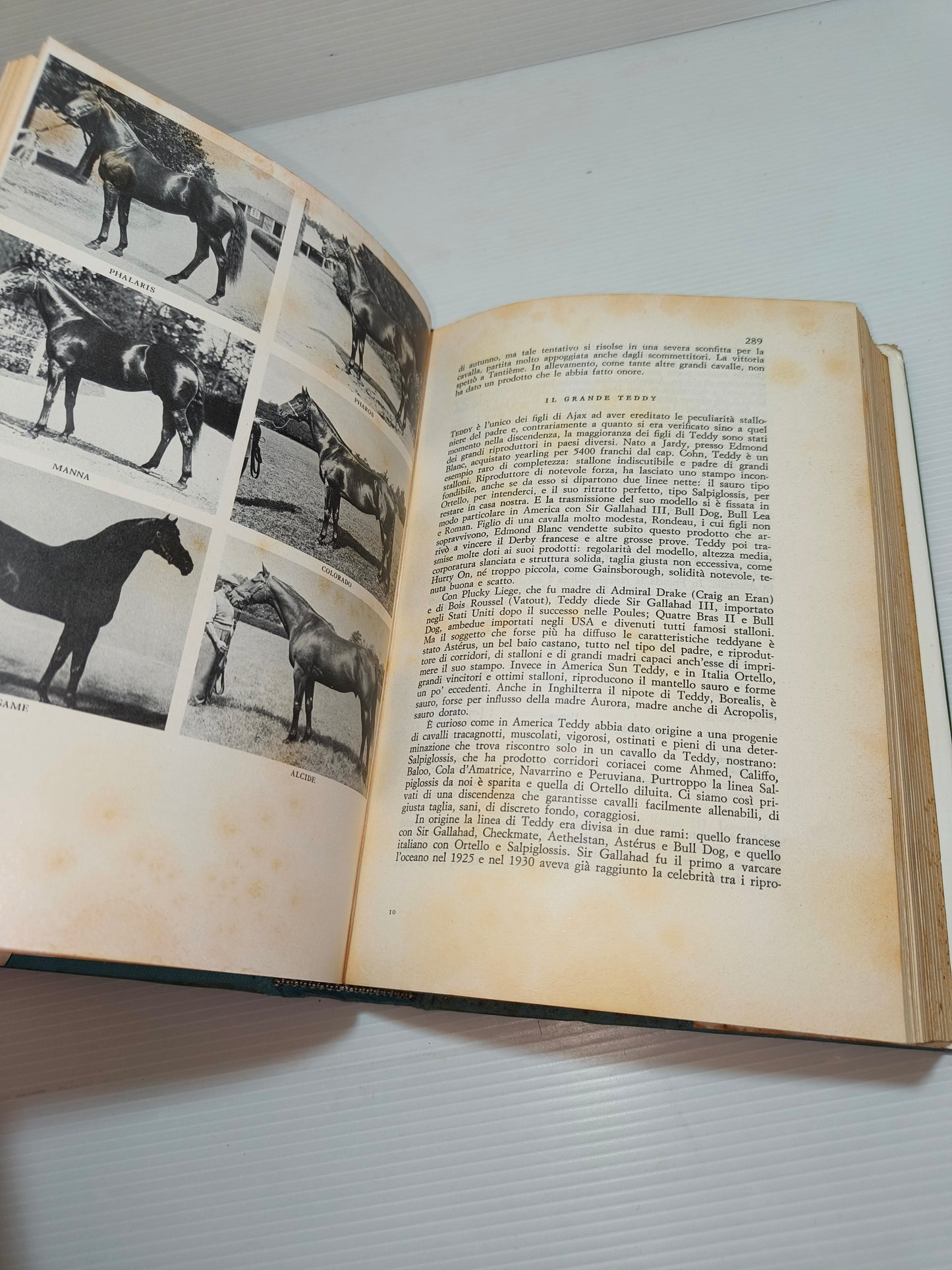 Libro Il Purosangue di L. Gianoli, 1975