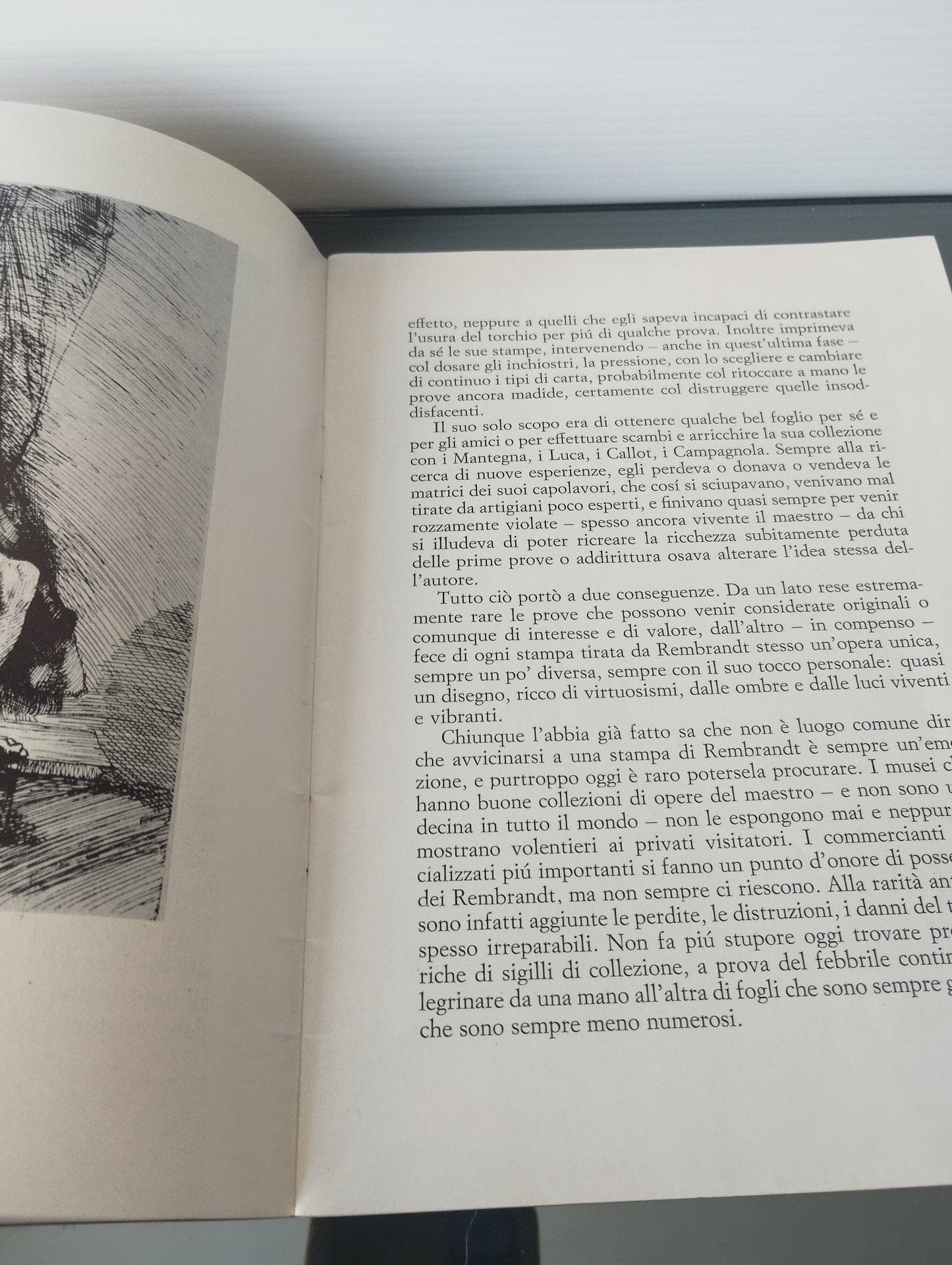 Libretto Mostra Rembrandt L'Arte Antica Torino 1966