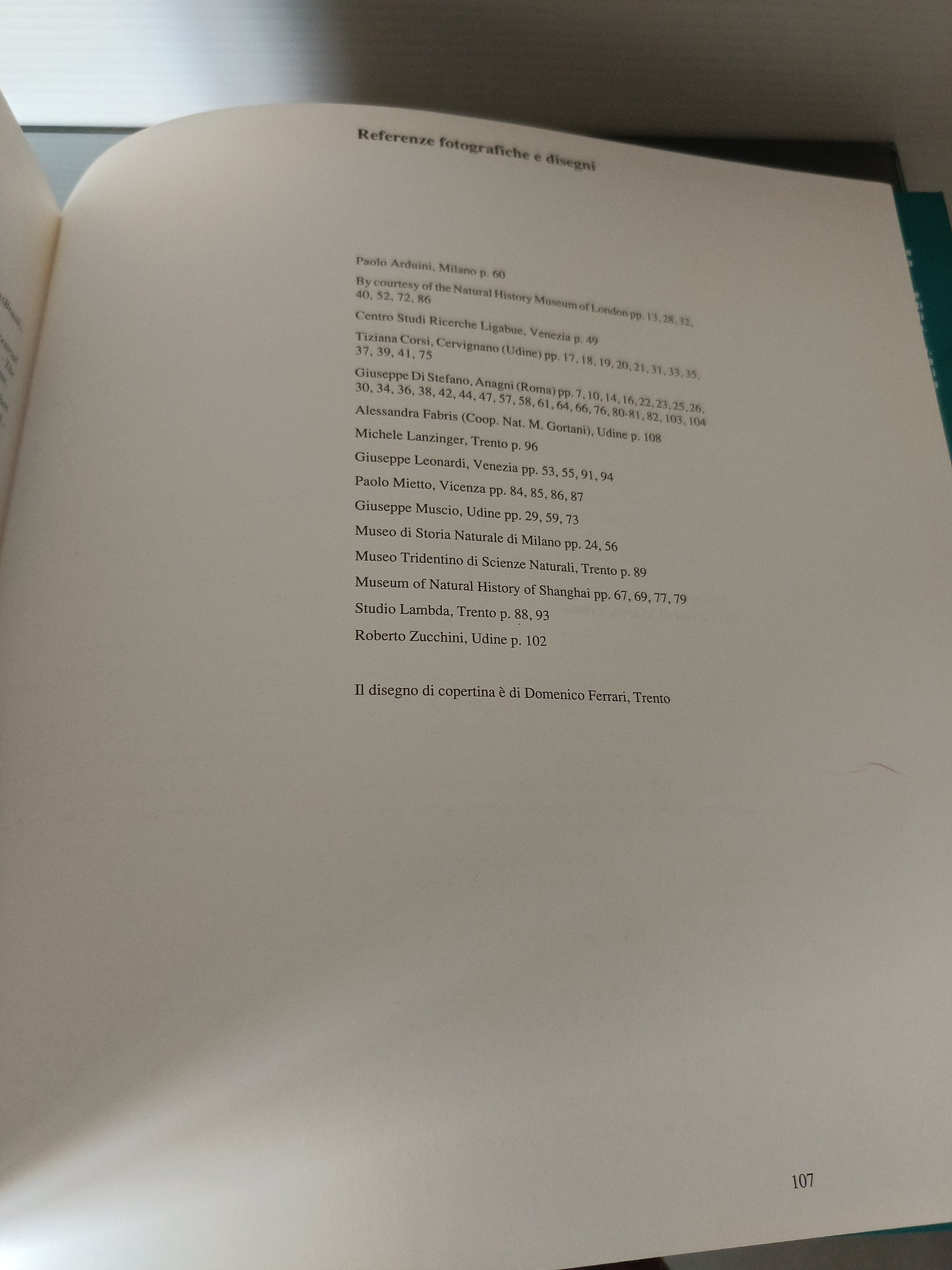 Dinosaurs Il Mondo Dei Dinosauri Cina Italia 1992