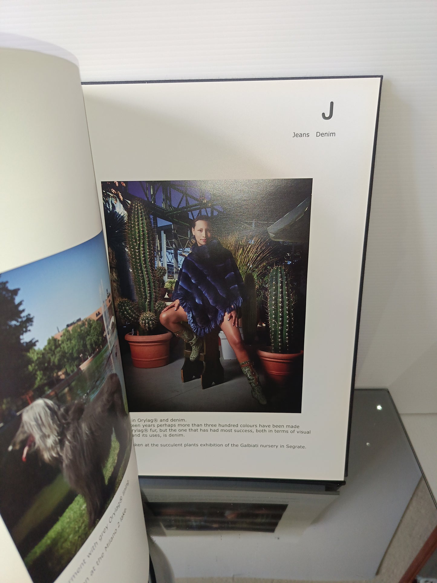 Agenda/Rubrica Orylag/Pelicon Pubblicitaria
In lingua italiana e inglese