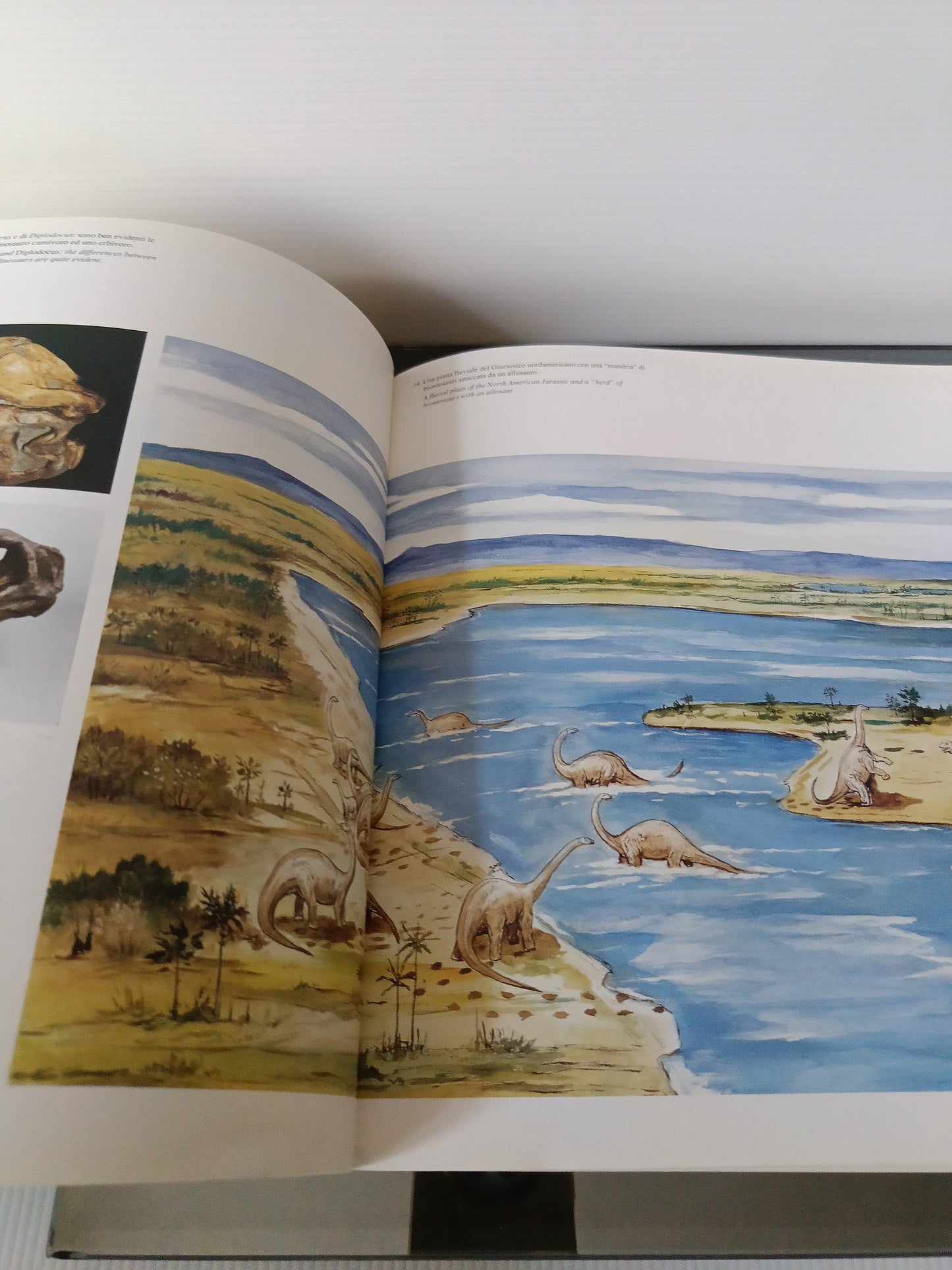 Dinosaurs Il Mondo Dei Dinosauri Cina Italia 1992