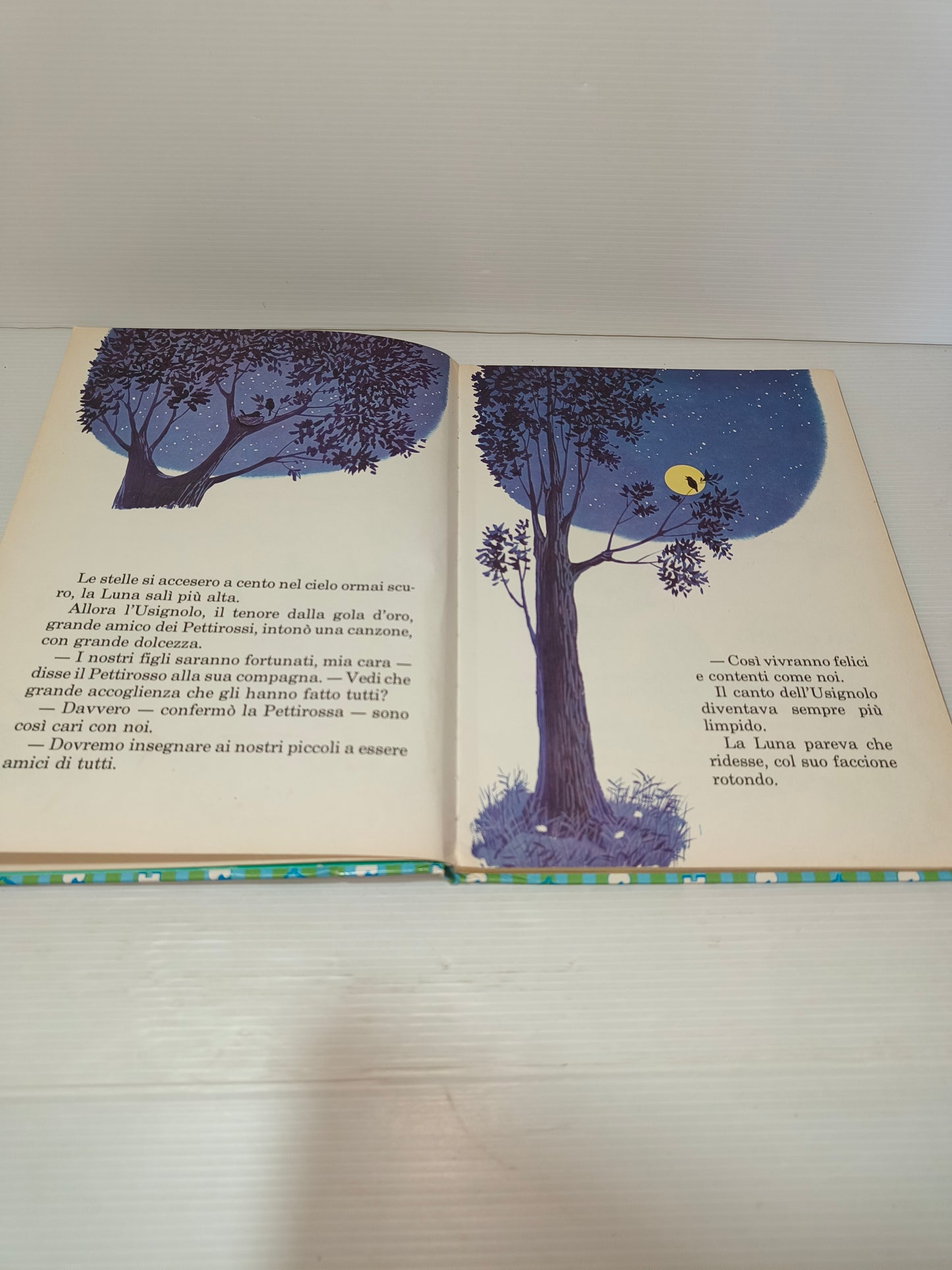 Libro Le Scoperte Di Bri E Ciuffo, 1983 LEGGI