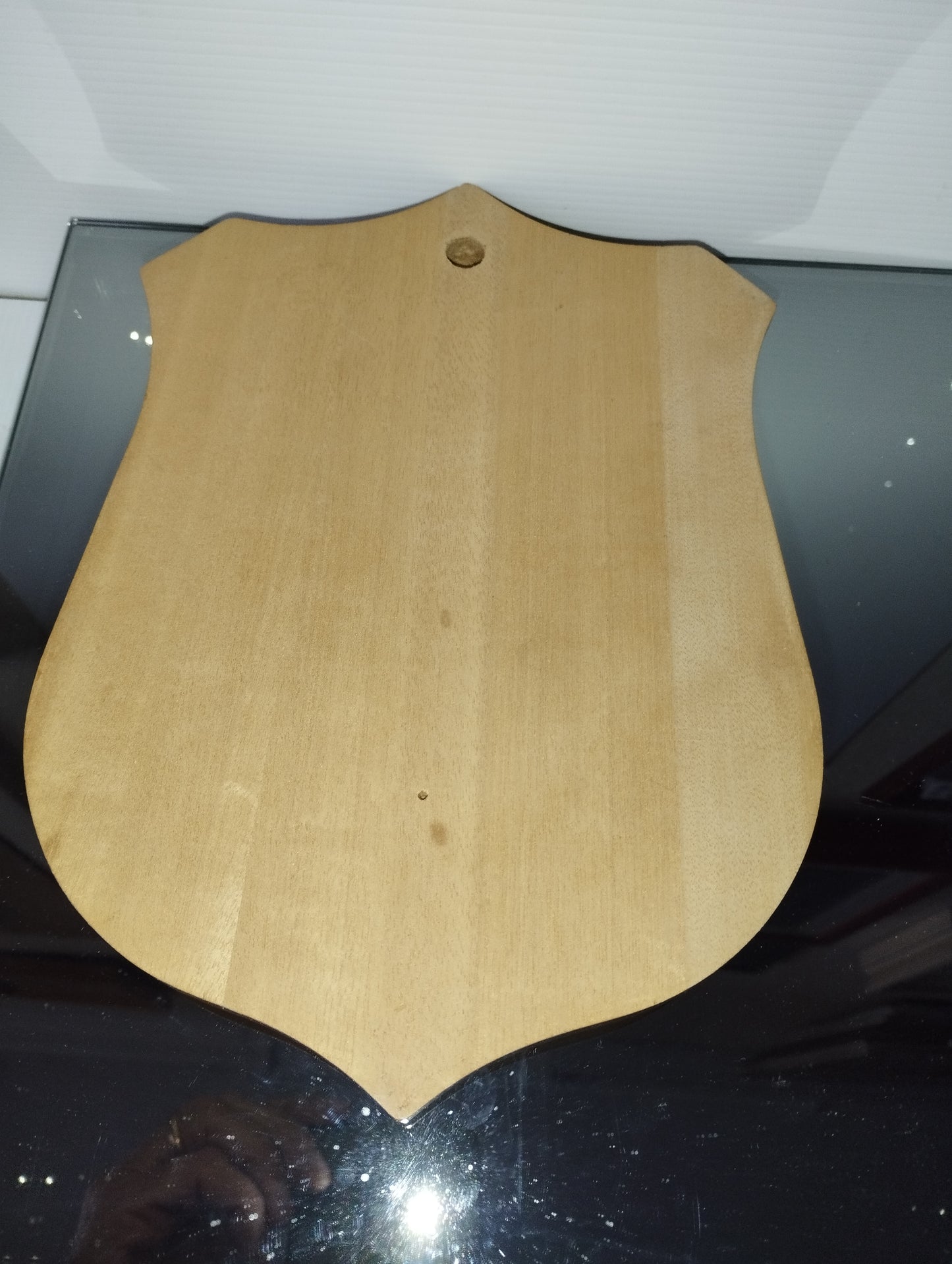 Stemma Amerigo Vespucci In Metallo Smaltato e Legno