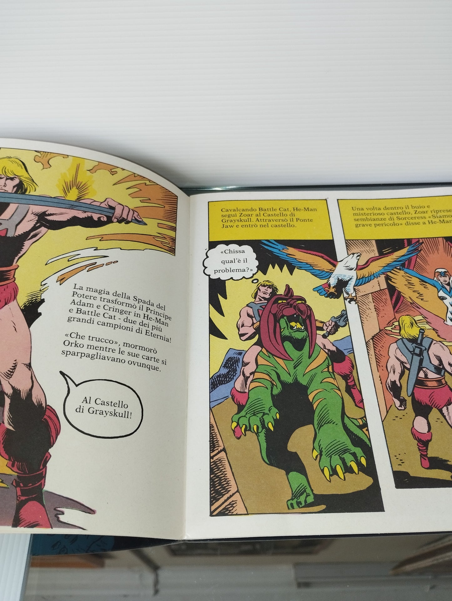 Masters I Dominatori Dell'Universo Super Color N.2
Edito nel 1984 da Editrice Edigamma
