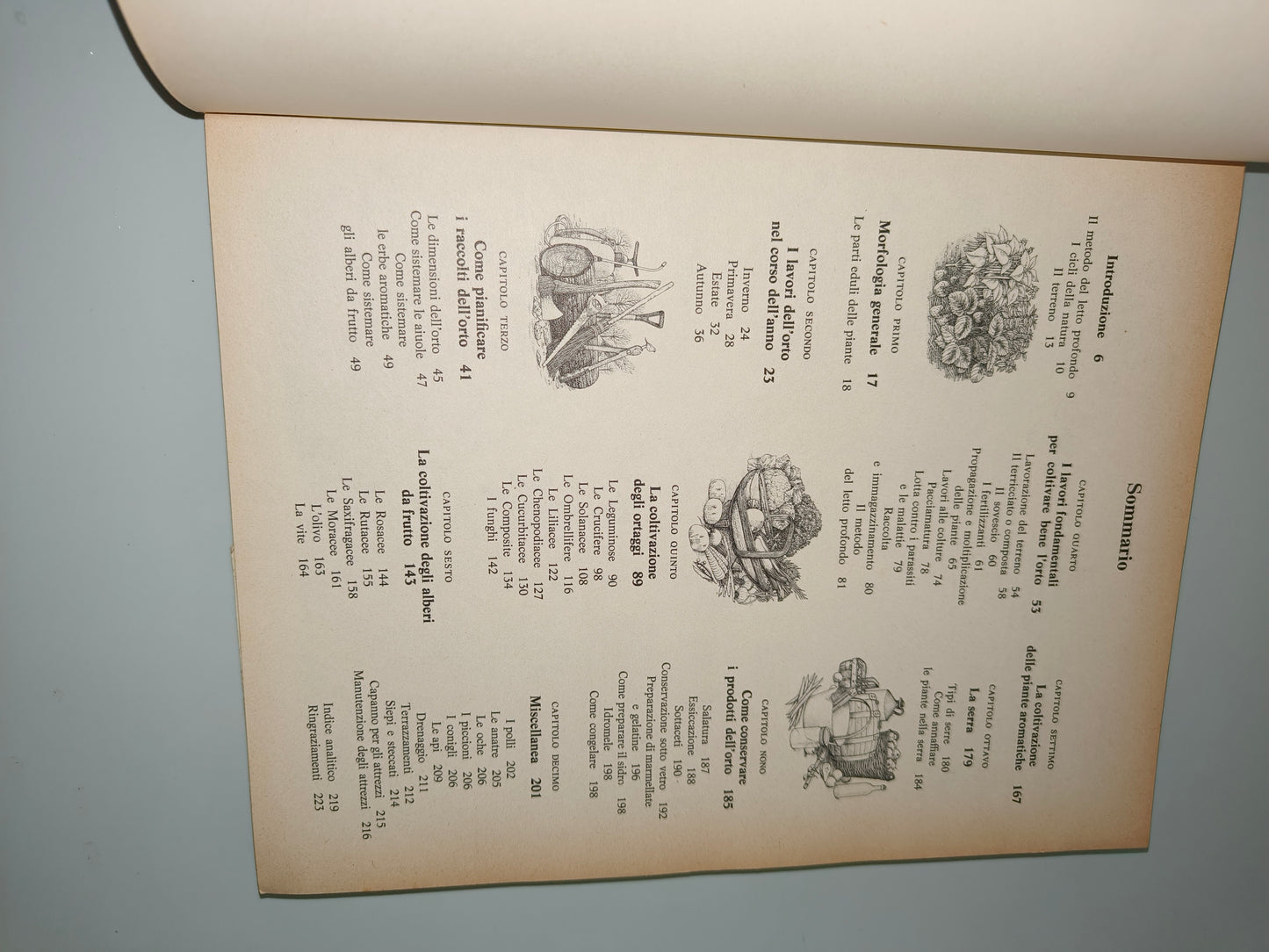 Libro Per Una Vita Migliore Ovvero Il Libro Dell' Orto Frutteto, anni 70 LEGGI