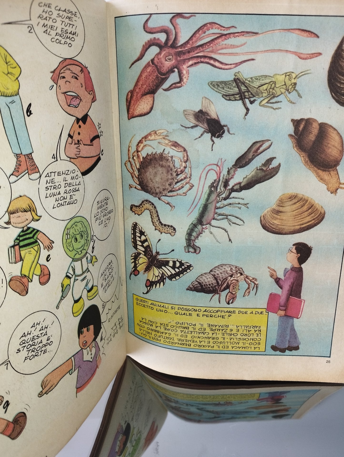 Masters I Dominatori Dell' Universo N.6